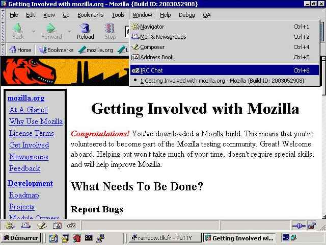 Copie d'écran : Mozilla